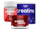 Protocolo Shape 360